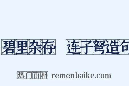 碧里杂存·连子弩造句是什么意思的图片